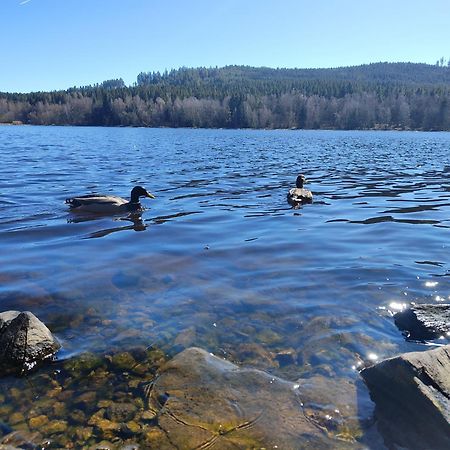 リプノ・ナト・ヴルタヴォウLipno Pearl 4アパートメント エクステリア 写真